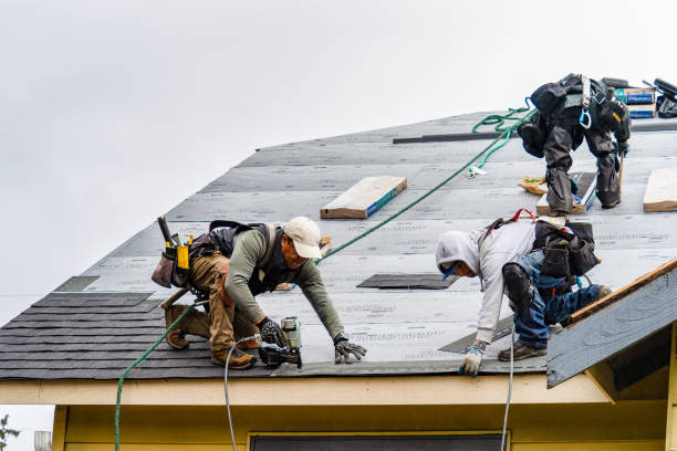Professional Gutter Installation technician working in Oldsmar, FL